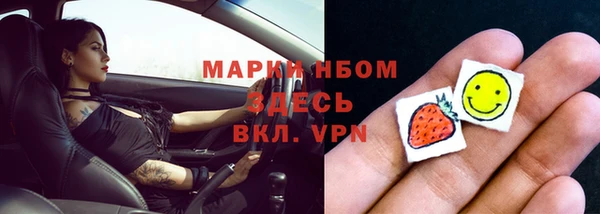 прущий лед Алзамай