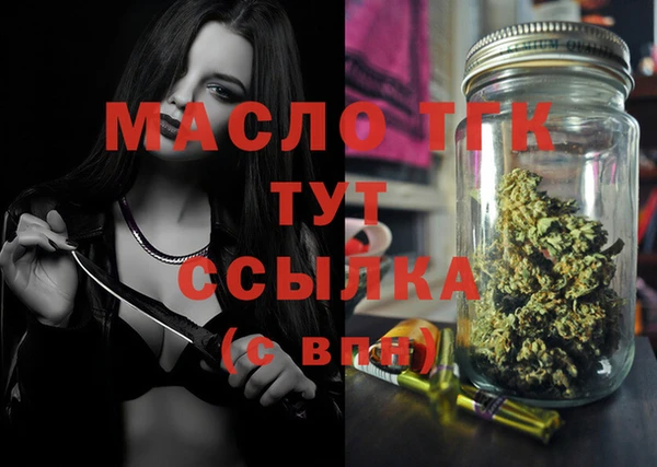 СК Алексин