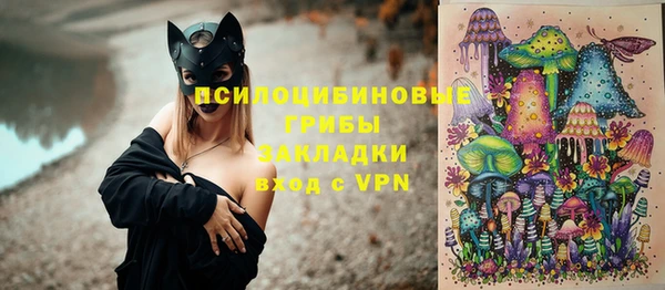 СК Алексин
