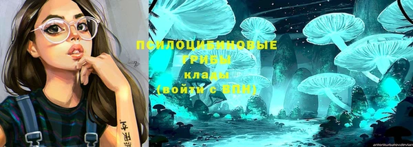 СК Алексин