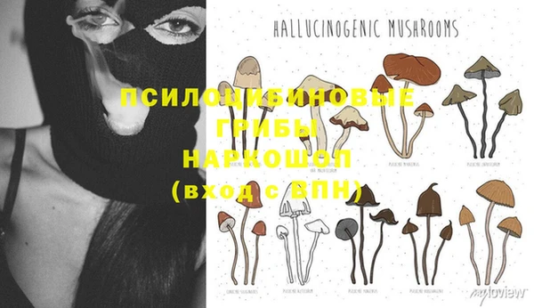 прущий лед Алзамай