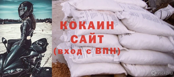 прущий лед Алзамай