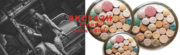 СК Алексин