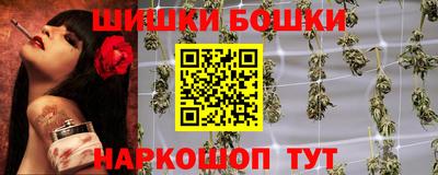 гидра Кингисепп
